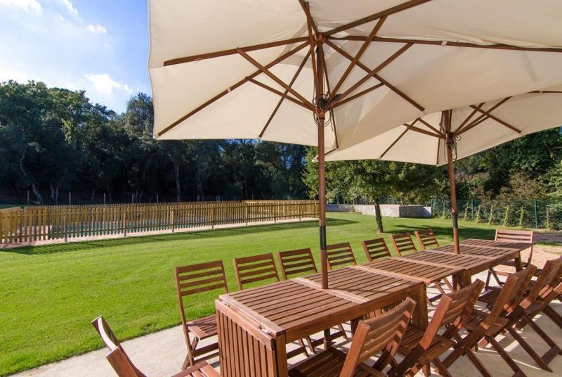Club Villamar - Maria Saris Monells Exterior foto